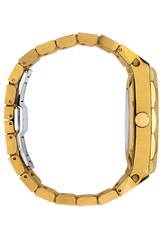 Automatic stainless steel watch for men